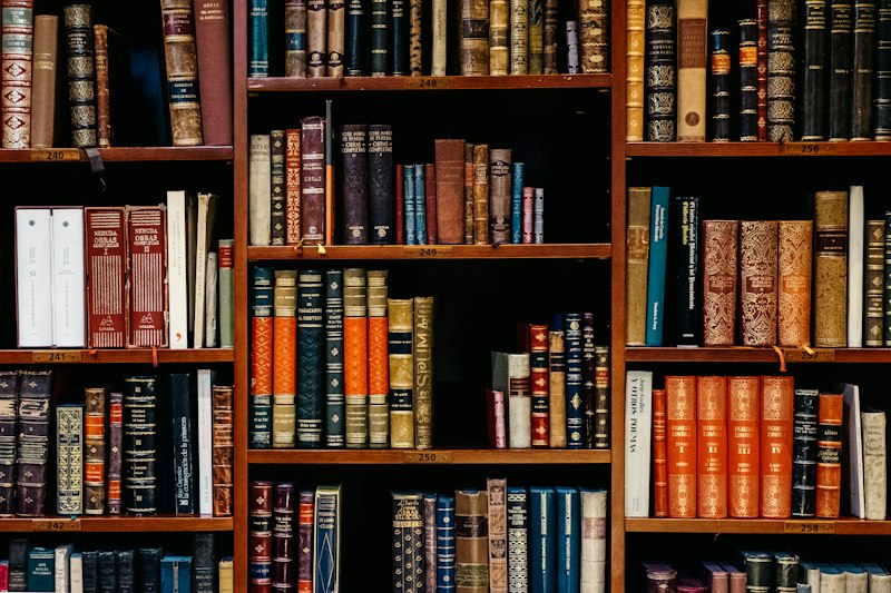 Sunlit Research Library & Media Hub