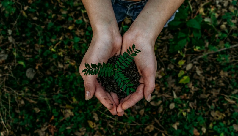 Eco-Green Campus Tree Planting & Nature Walk